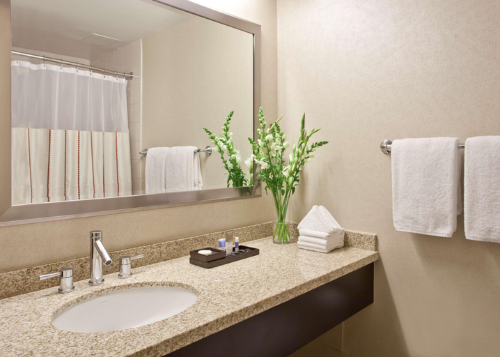 Bathroom 4, Hyatt Regency OHare Chicago, Cook
