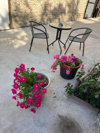 Others 3, New Home