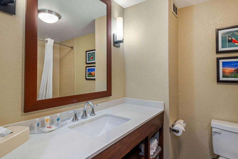 Bathroom 4, Comfort Inn & Suites Big Spring, Howard
