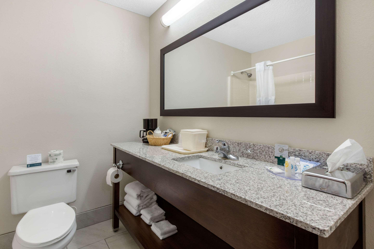 Bathroom 4, Quality Inn & Suites Mountain Home North, Baxter