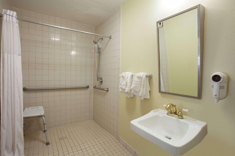 Bathroom 4, Econo Lodge Daytona Beach - Speedway, Volusia
