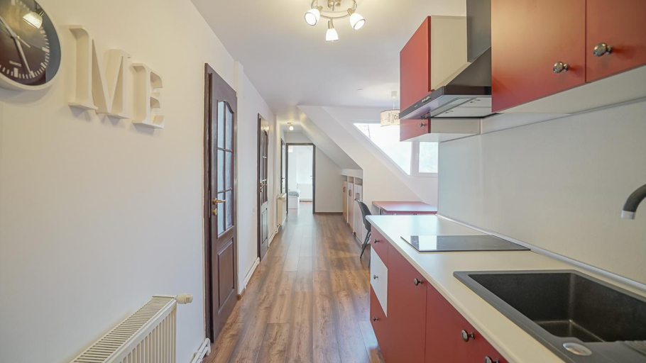 Others 5, Coroni Residence - Cazare Delegati si Muncitori Brasov, Brasov