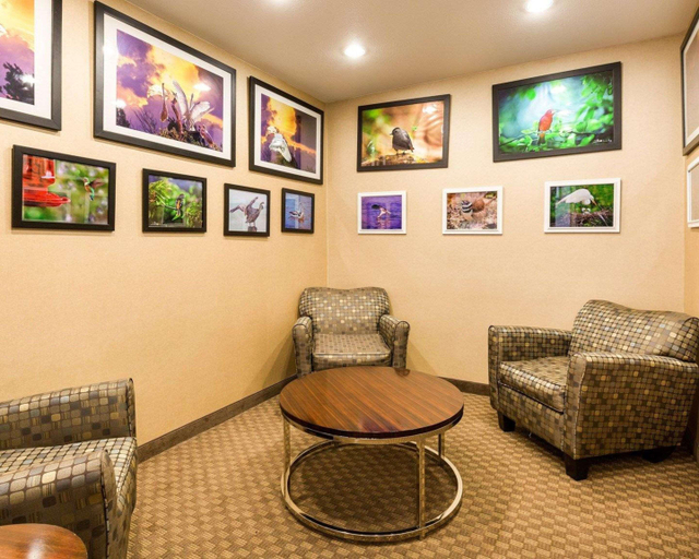Public Area 2, Comfort Inn & Suites Winnie, Chambers