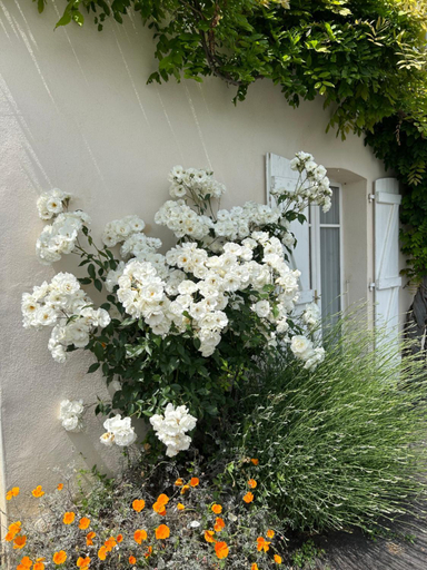 Others 2, La Glycine B&B, Rhône