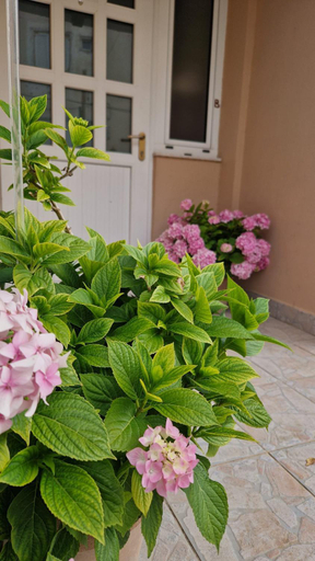 Others 4, Apartment Lucka, Lopar/Supetarska Draga