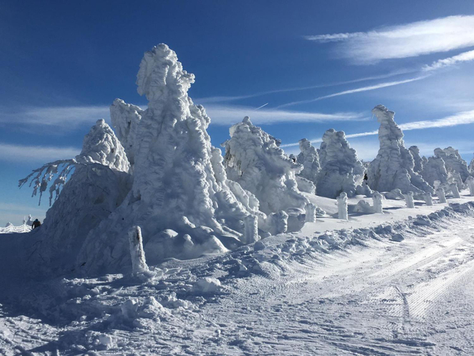 Others 2, DIREKT AM SKIHANG! Muller Ferienwohnungen, Erzgebirgskreis
