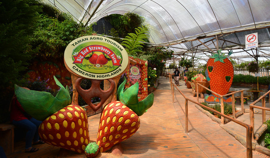 Others 3, Nova Highlands Resort and Residence (D), Cameron Highlands