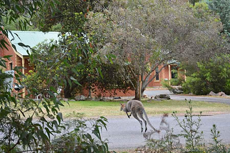 Others 5, Heatherlie Cottages Halls Gap, N. Grampians - Stawell