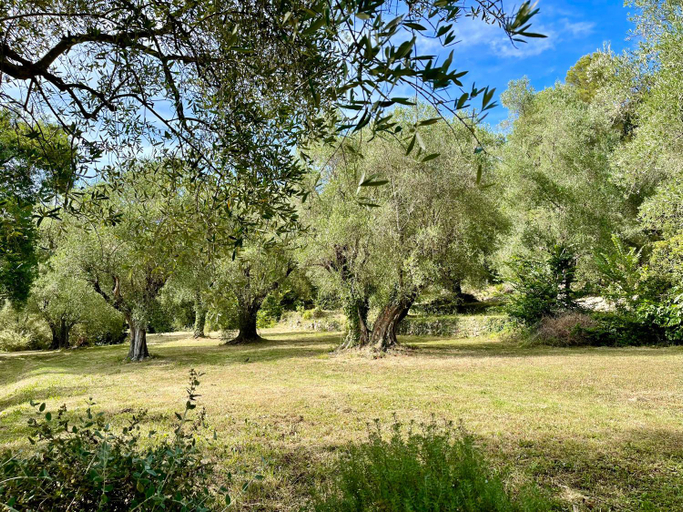 Others 5, Domaine de Bramafam, Alpes-Maritimes