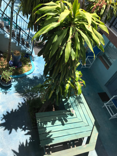 Sport & Beauty 2, Blue Bell Apartment Hotel, Broward