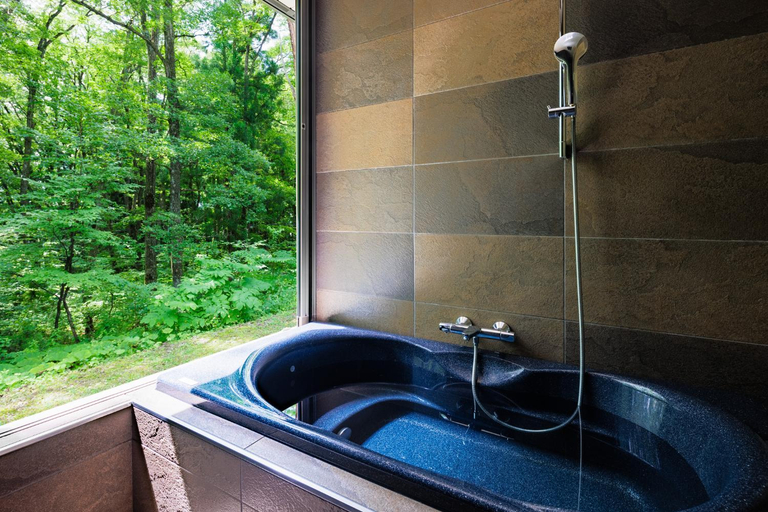 Bathroom 3, Phoenix Cocoon, Hakuba