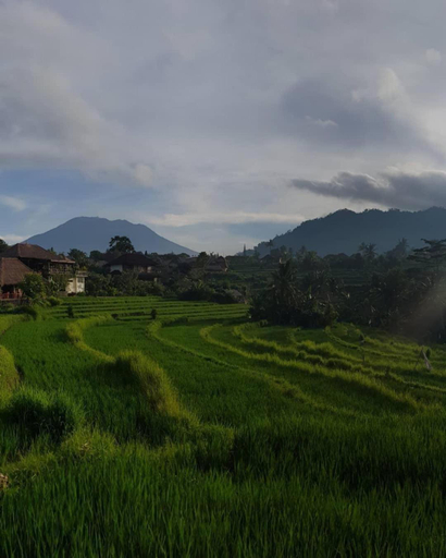 Others 2, D'Janu Homestay, Karangasem