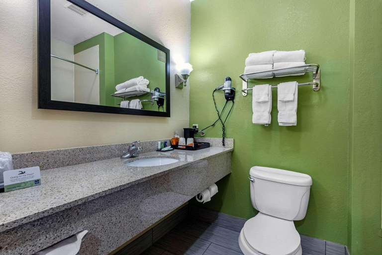 Bathroom 4, Sleep Inn & Suites Millbrook, Elmore