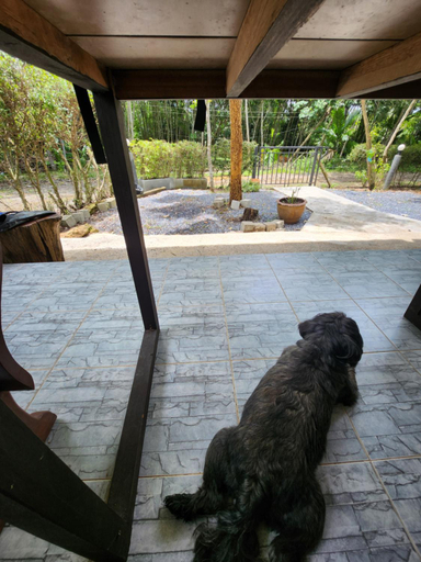 Others 4, Baan NomTham, Ko Lanta