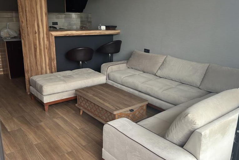 Public Area, Dachis Villa, Batumi