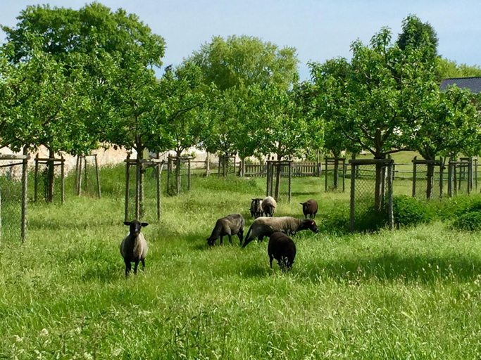 Others 4, Apartments "Am Nationalpark", Uckermark