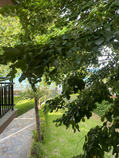 Others 4, Paparizou Apartments, Thessaly