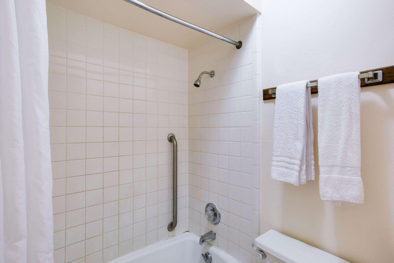 Bathroom 5, Rodeway Inn Sergeant Bluff - Sioux City, Woodbury