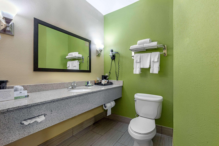 Bathroom 4, Sleep Inn & Suites Millbrook, Elmore