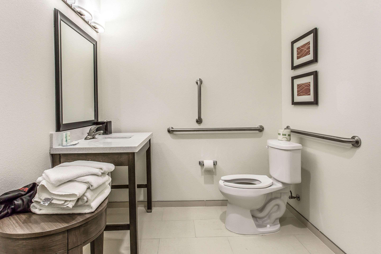 Bathroom 4, Comfort Inn & Suites Snyder, Scurry