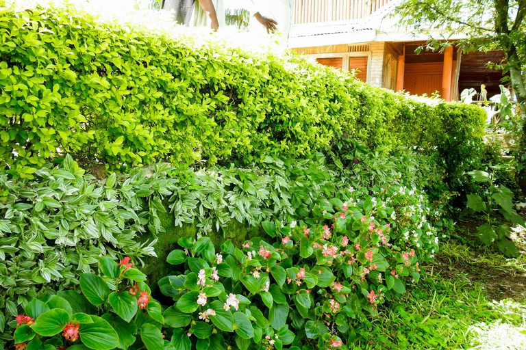 Others 4, Westend Motel, Fort Portal