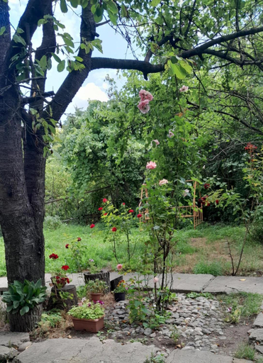 Others 4, Hayk B&B (in Sanahin)