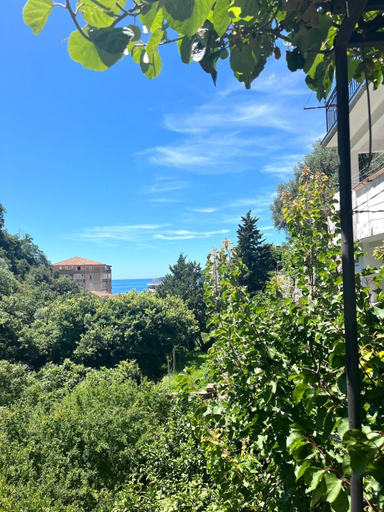 Others 5, Apartments Harmonija