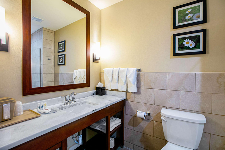 Bathroom 5, Comfort Suites Fishkill Area, Dutchess