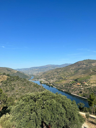 5, Quinta da Pinguinha - Douro, Armamar