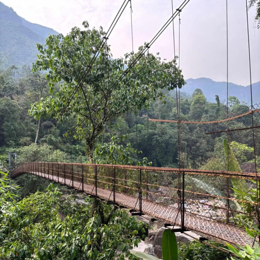 Others 2, Odyssey Stays Nongriat - 3Kms trek from Main Road, East Khasi Hills