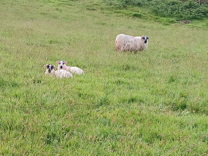 Others 3, Gleann Loic Farmhouse