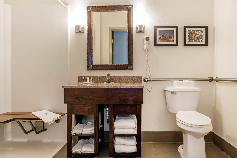 Bathroom 5, Comfort Suites Miamisburg - Dayton South, Montgomery