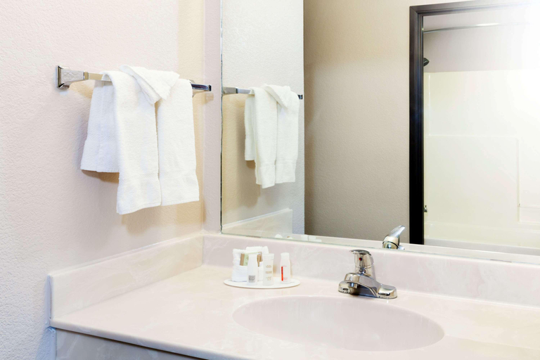 Bathroom 4, Hotel Piney Woods, Walker