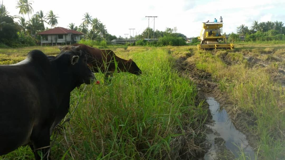 Others 5, Seri Pengkalan Homestay, Bachok