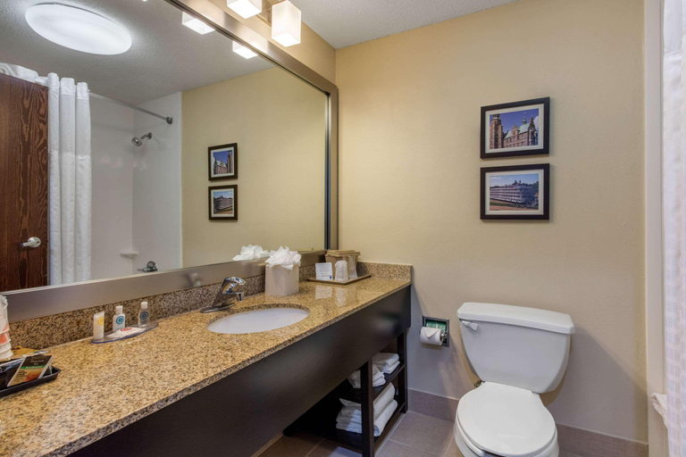 Bathroom 4, Comfort Inn Horn Lake - Southaven, Desoto