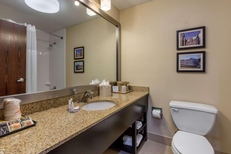 Bathroom 4, Comfort Inn Horn Lake - Southaven, Desoto