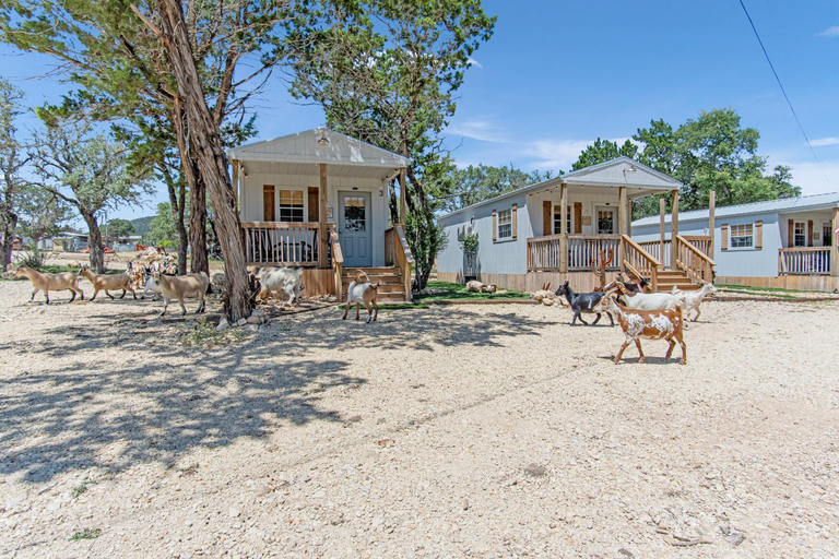 Others 4, Lucky Star Ranch - Stargazer, Medina