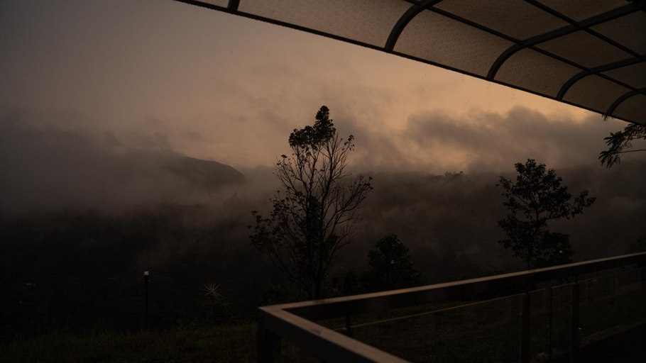 5, AINSLEY, Idukki