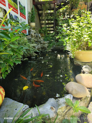 Others 5, Trang An NP homestay, Hoa Lư