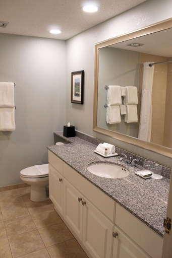 Bathroom 4, Innisbrook Resort, Pinellas