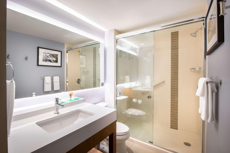 Bathroom 4, Hyatt Place East Moline Quad Cities, Rock Island