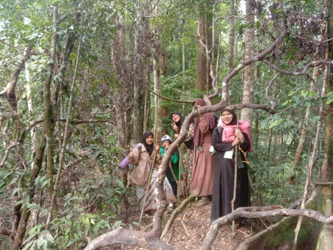 Others 5, Sawah Resto Bungalow & Jungle Trekking, Langkat
