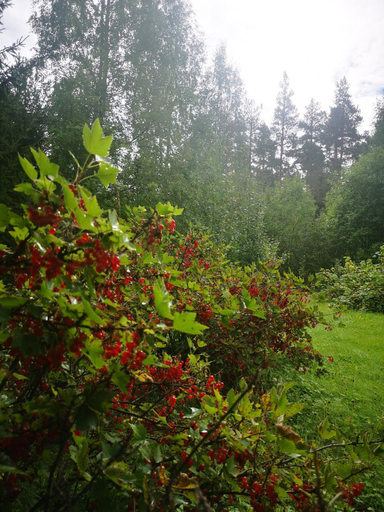Others 4, Villa Ka Stor Elvdal, Stor-Elvdal