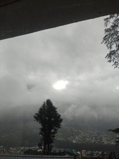 Others 3, Jamming Tree, Kullu