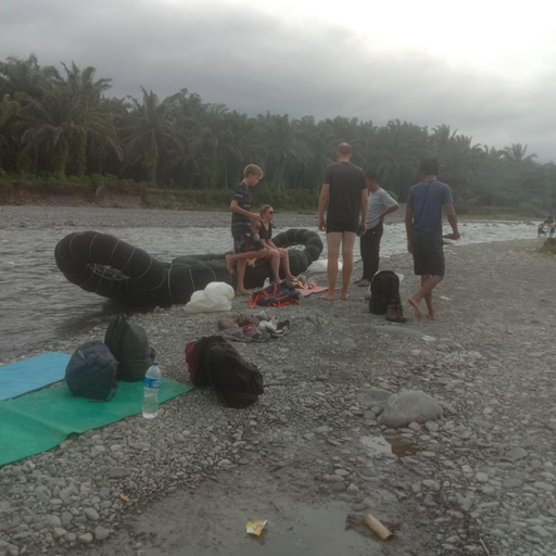 Others 3, Sawah Resto Bungalow & Jungle Trekking, Langkat
