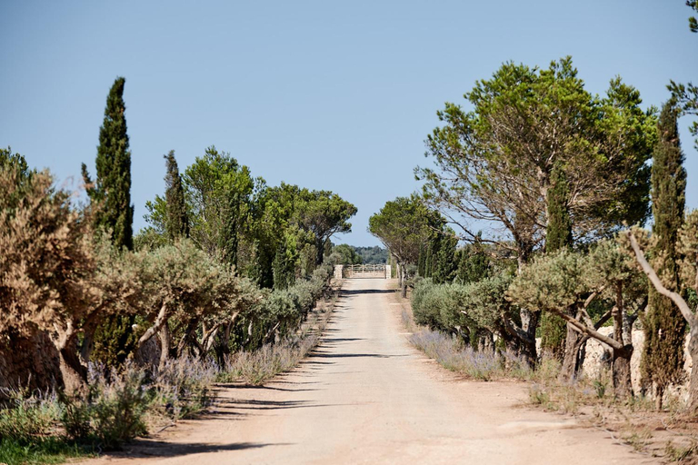 Public Area 4, CAP Menorca Relais & Chateaux, Baleares