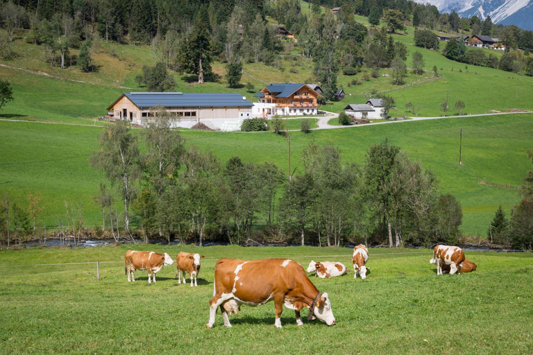 Others 3, Rojerhof, Liezen