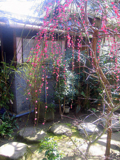 Others 2, Ishiya Ryokan, Sanuki