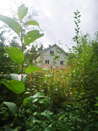 Others 3, Villa Ka Stor Elvdal, Stor-Elvdal