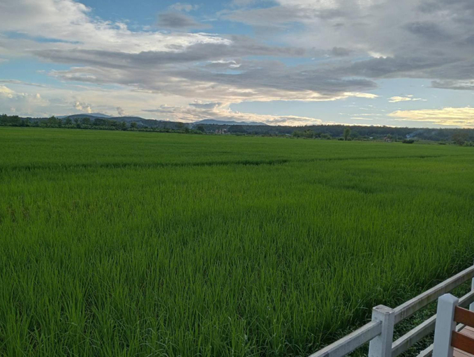 Scenery 13